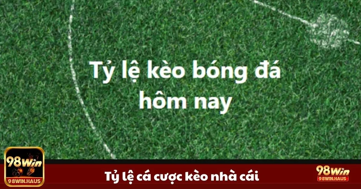 Tỷ lệ Cá Cược Kèo Nhà Cái 98Win: Cách Đọc & Tính Tiền 2 Cách đọc odds châu Á – châu Âu – Malaysia
